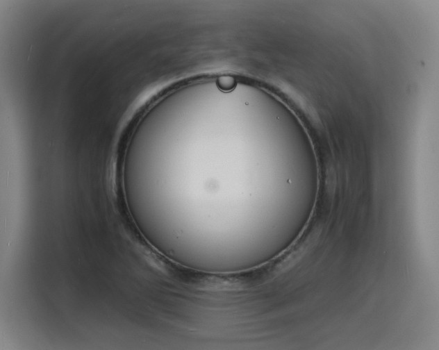 X0000115841270200911201545