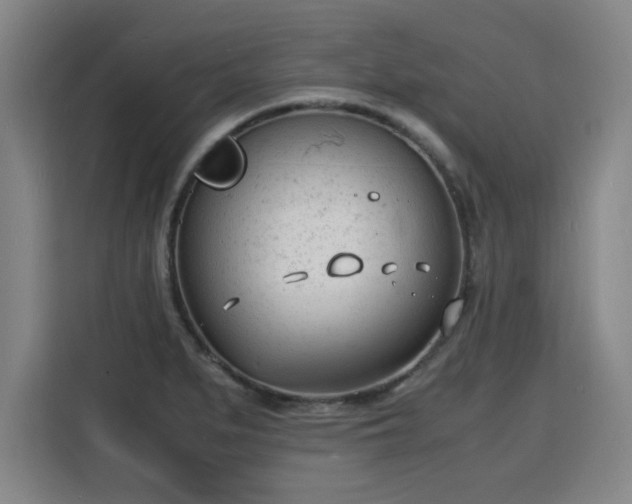 X0000115841279200911201545