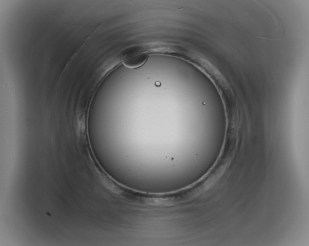X0000115841281200911201545