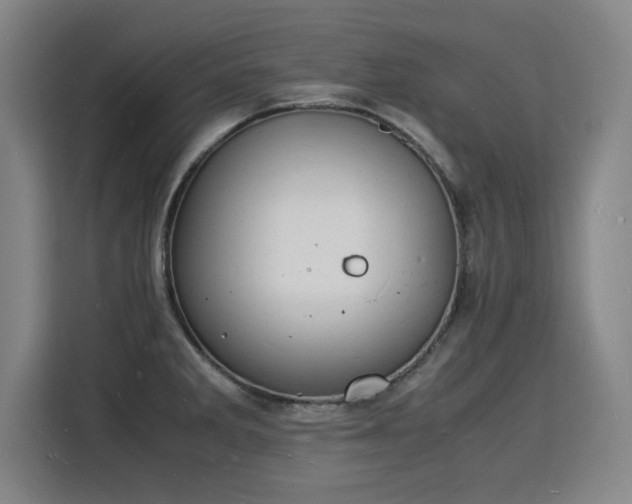 X0000115841285200911201545