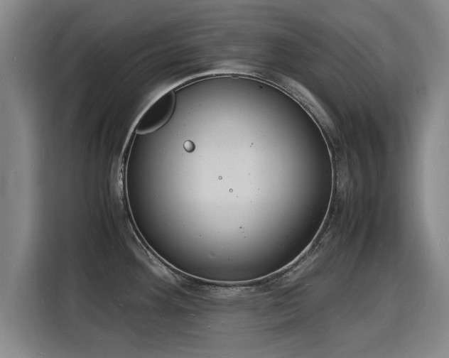 X0000115841292200911201545