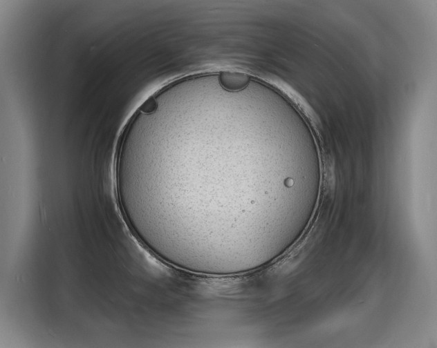 X0000115841294200911201545