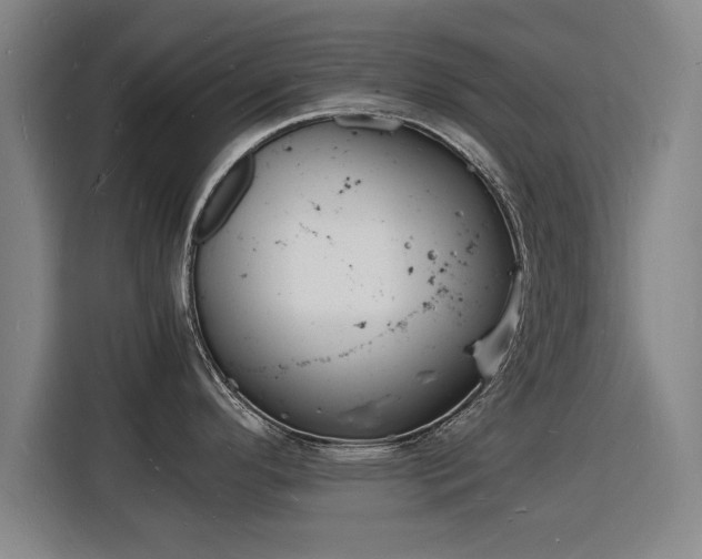 X0000115841296200911201545