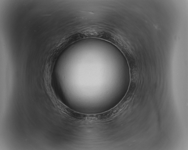 X0000115841297200911201544