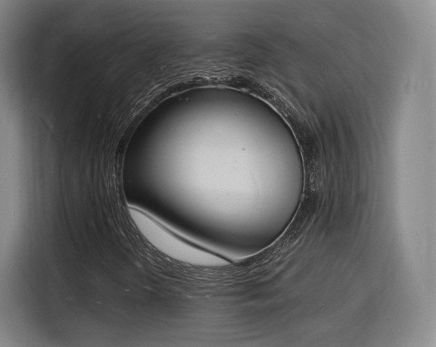 X0000115841298200911201544