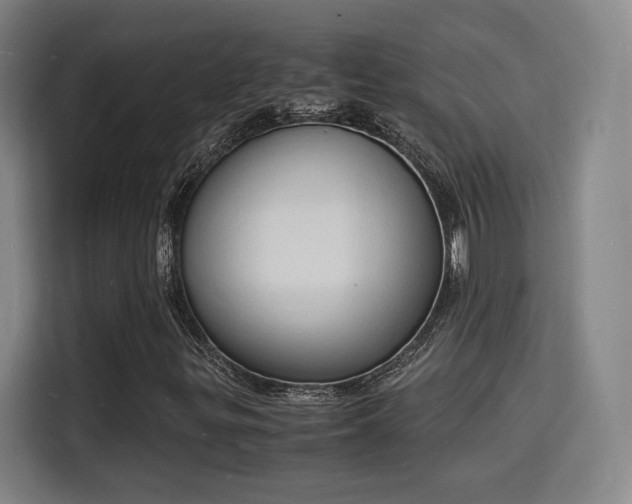 X0000115841299200911201544