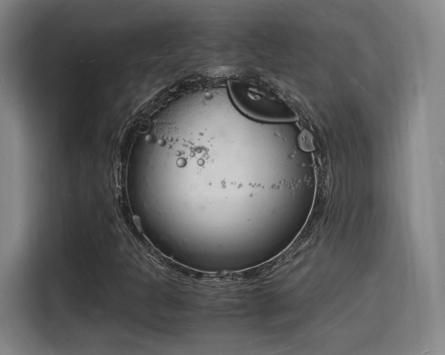 X0000115841301200911201544