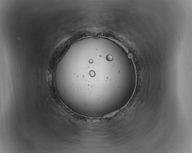 X0000115841302200911201544