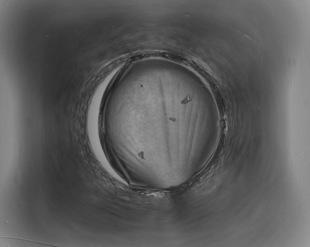 X0000115841303200911201544