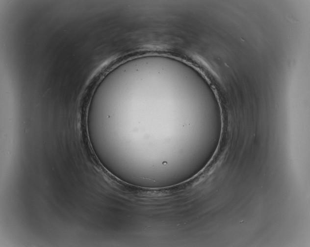 X0000115841307200911201545