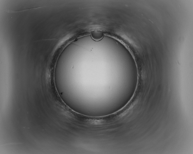 X0000115841309200911201545