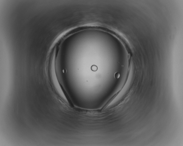 X0000115841319200911201545
