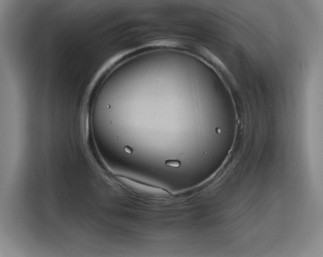 X0000115841323200911201545