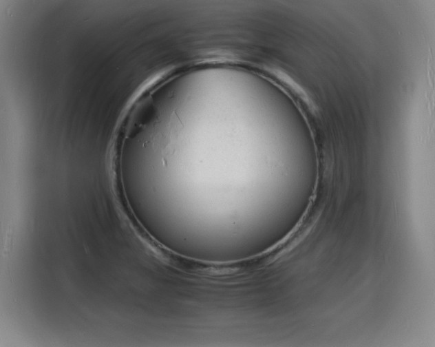 X0000115841325200911201545