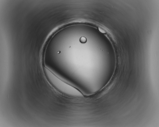 X0000115841326200911201545