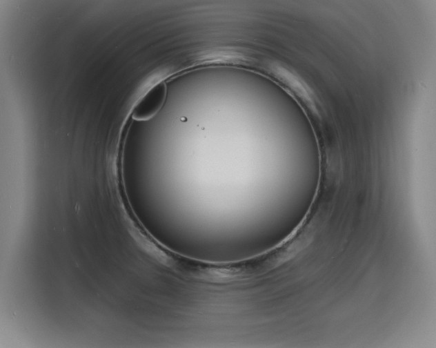 X0000115841330200911201545