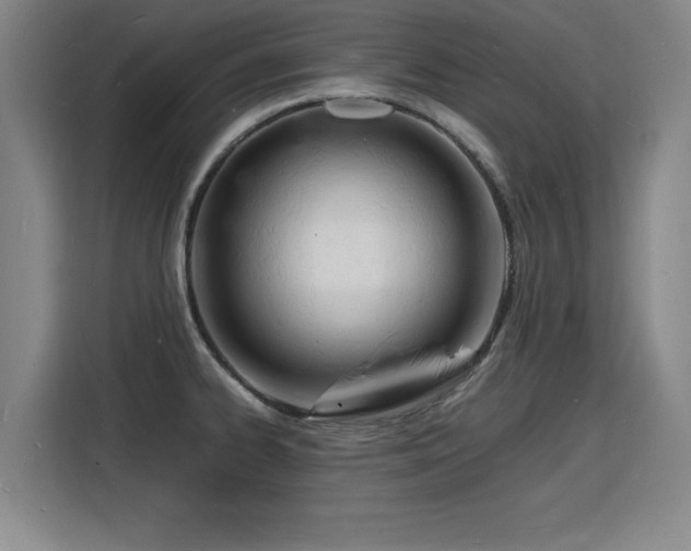 X0000115841334200911201545