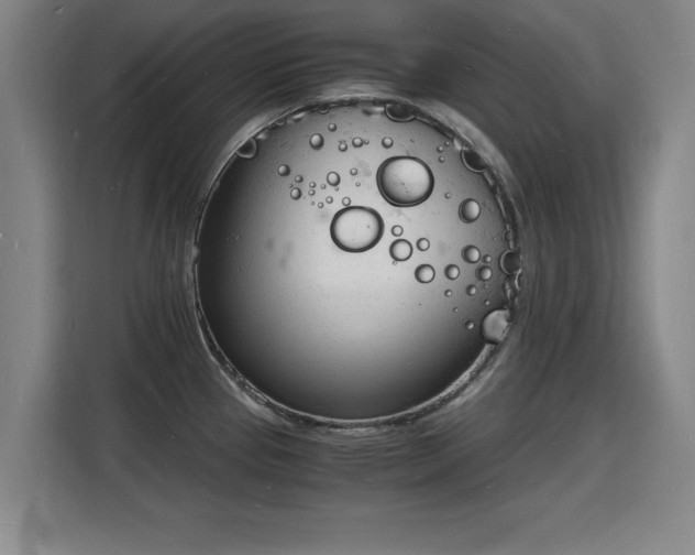 X0000115841337200911201545