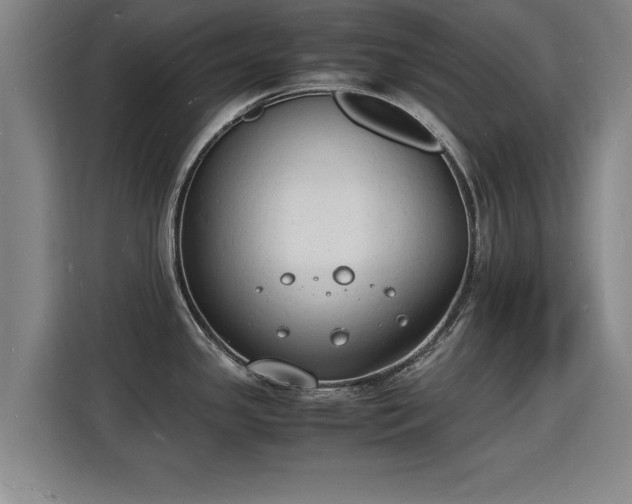 X0000115841341200911201545