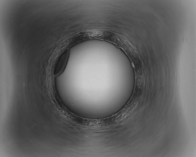 X0000115841345200911201544