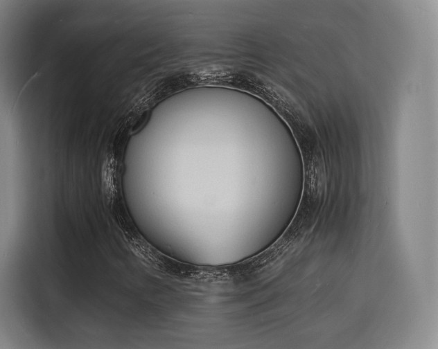 X0000115841346200911201544