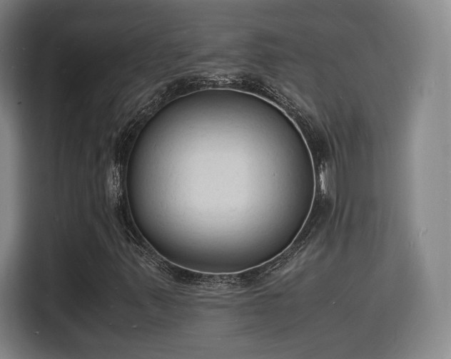 X0000115841347200911201544