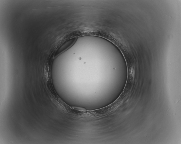 X0000115841348200911201544