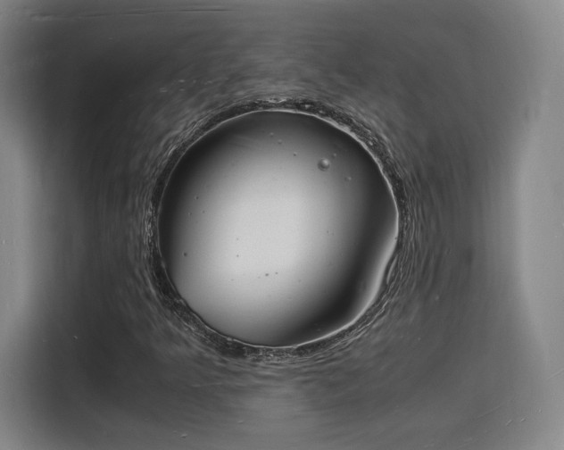 X0000115841349200911201544