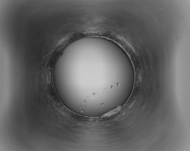 X0000115841350200911201544