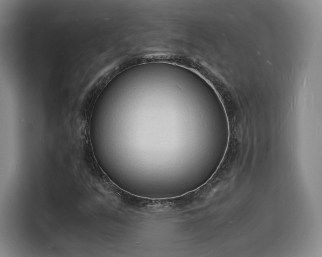 X0000115841351200911201544