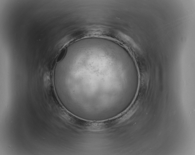 X0000115841353200911201544