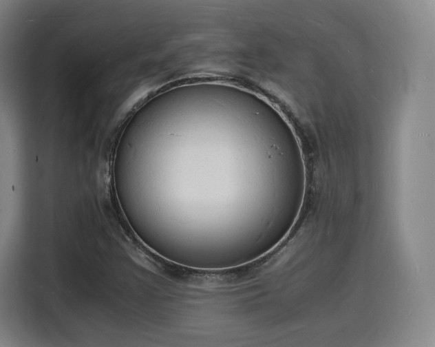X0000115841355200911201544