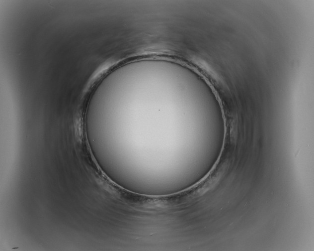 X0000115841358200911201544