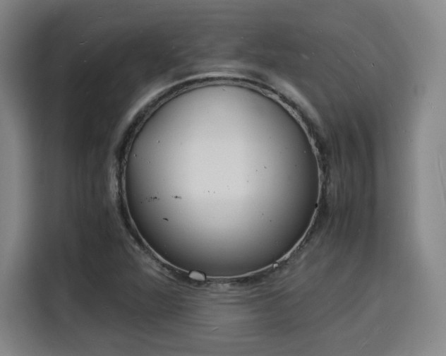 X0000115841360200911201544