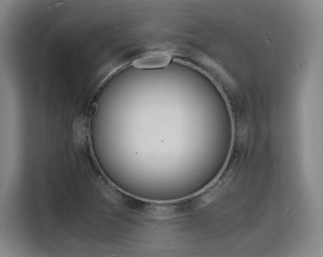 X0000115841361200911201544