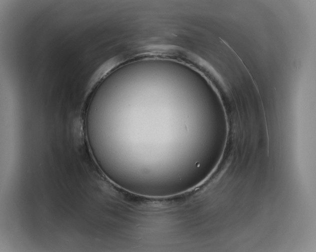 X0000115841362200911201544