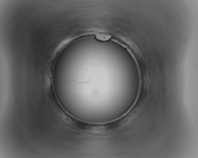 X0000115841363200911201544