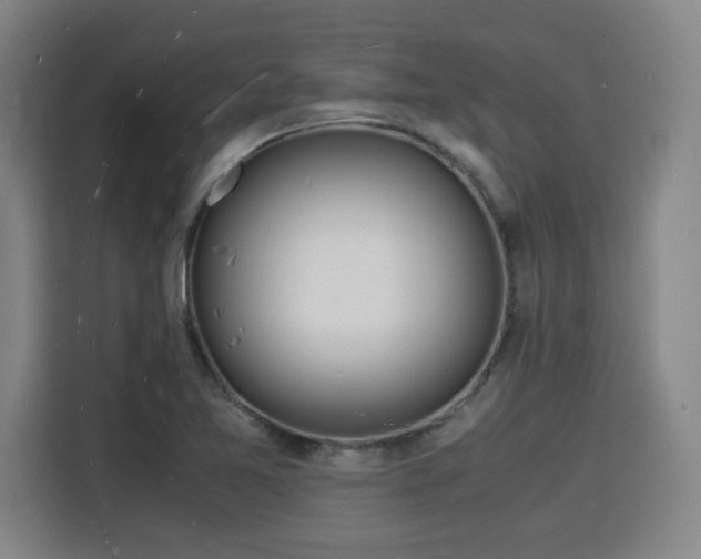 X0000115841365200911201544