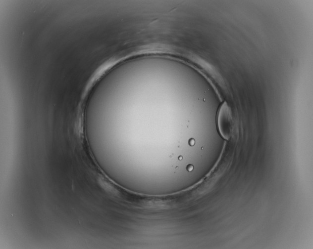 X0000115841366200911201544