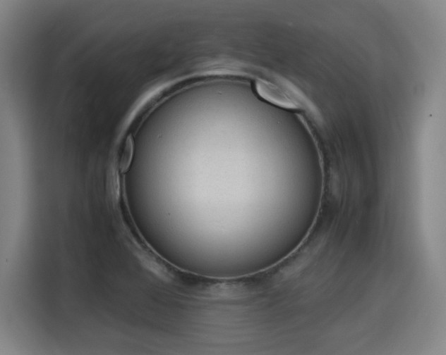 X0000115841368200911201544