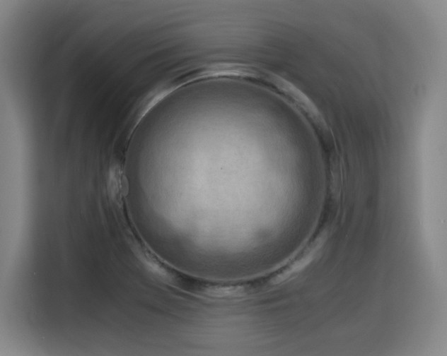 X0000115841369200911201544