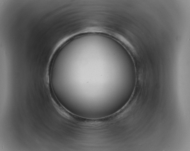 X0000115841372200911201544