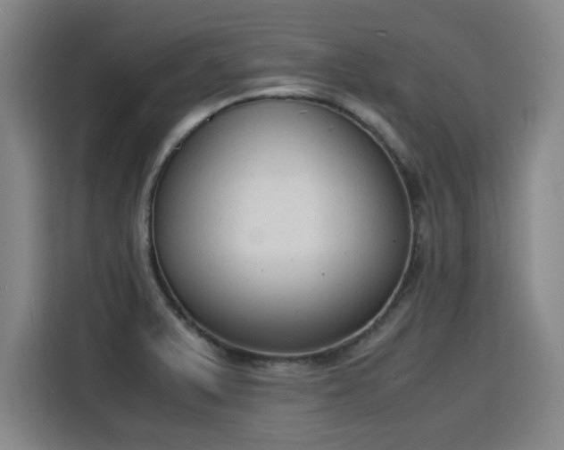 X0000115841375200911201544
