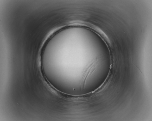 X0000115841376200911201544