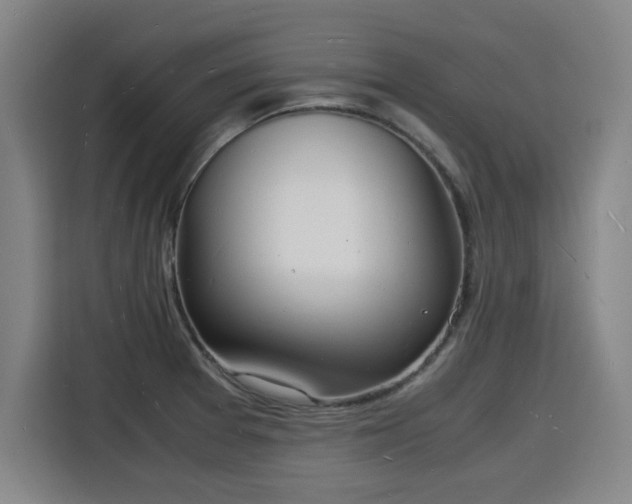 X0000115841377200911201544