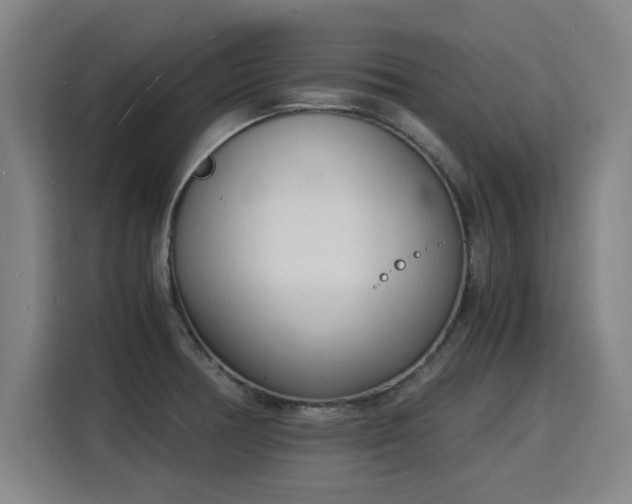 X0000115841378200911201544