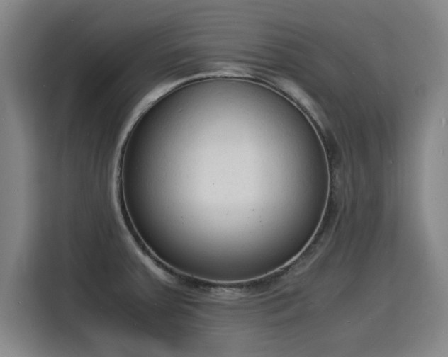 X0000115841379200911201544
