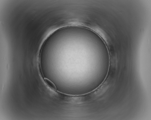 X0000115841381200911201544