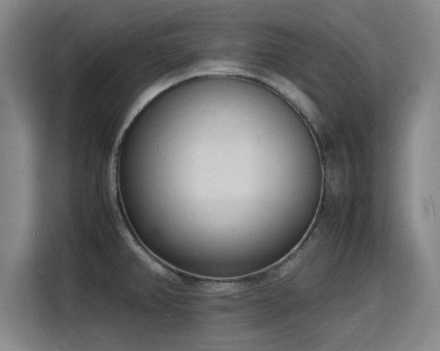 X0000115841382200911201544