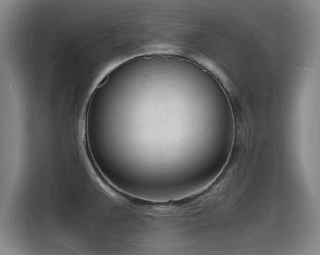 X0000115841383200911201544